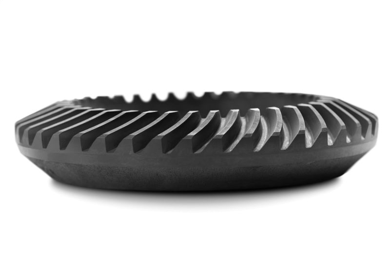 Street Driven Performance