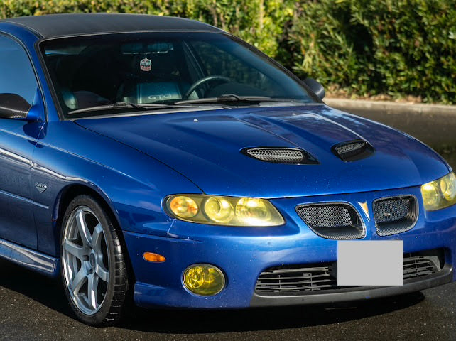 2004-2006 Pontiac GTO | CARBON FIBER Front Bumper Grille Inserts Replacement (PAIR)