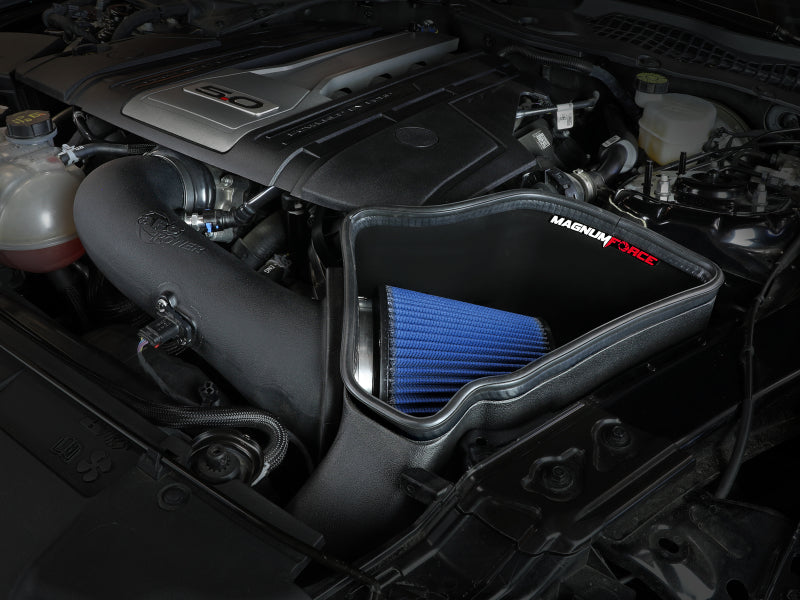 Street Driven Performance