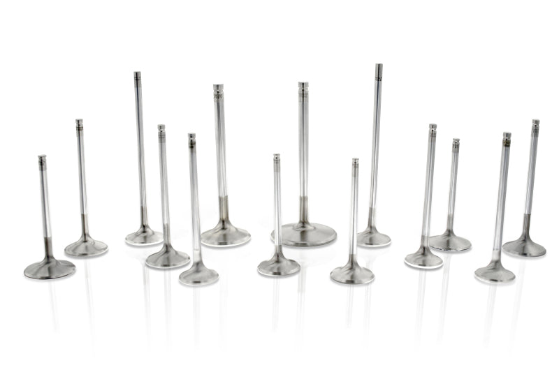 Ferrea VW VR6 R32 34.20mm 5.98mm 136.70mm 20 Deg S-Flo +1mm Comp Plus Intake Valve - Set of 6