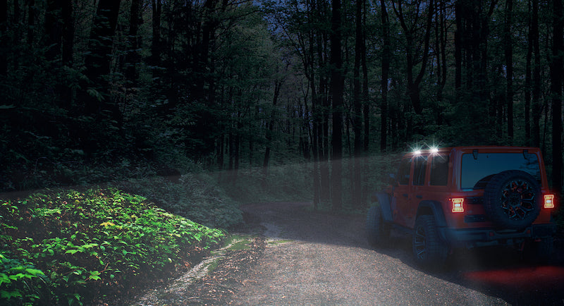 Street Driven Performance