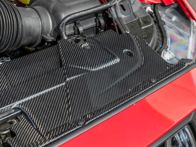 2024-UP MUSTANG S650 | CARBON FIBER ENGINE RADIATOR PANEL TRIM REPLACEMENT