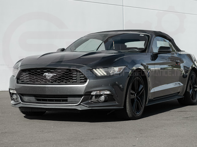 2015-2023 FORD MUSTANG S550 | CARBON FIBER FRONT BUMPER FOG LIGHT BEZEL COVER PAIR