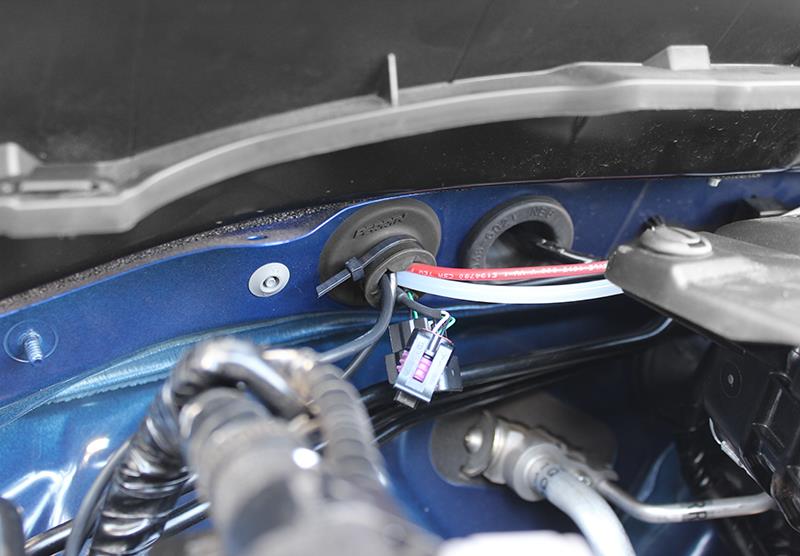 Street Driven Performance