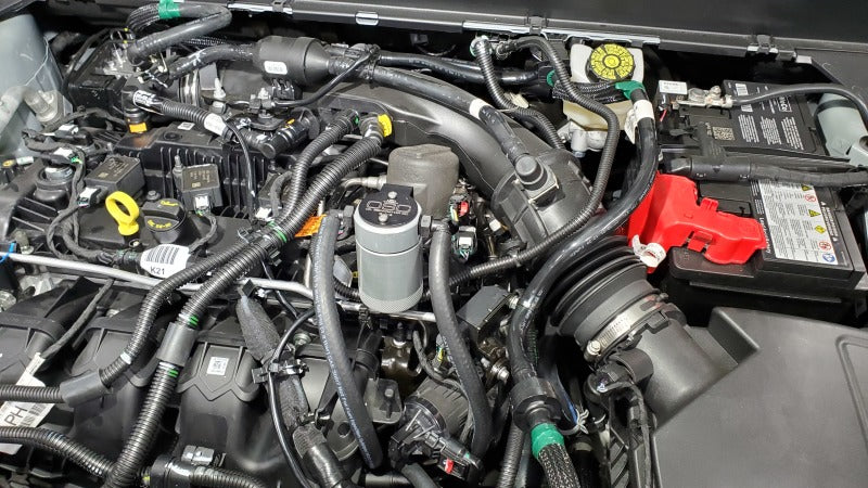 Street Driven Performance