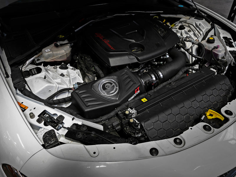 Street Driven Performance