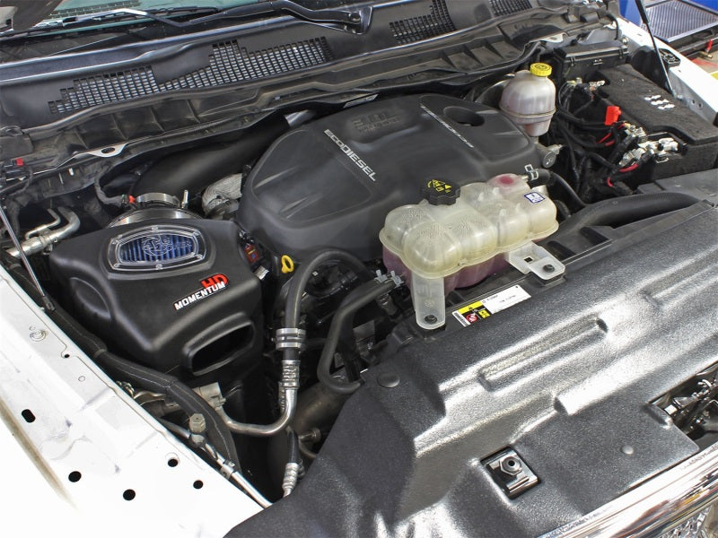 Street Driven Performance