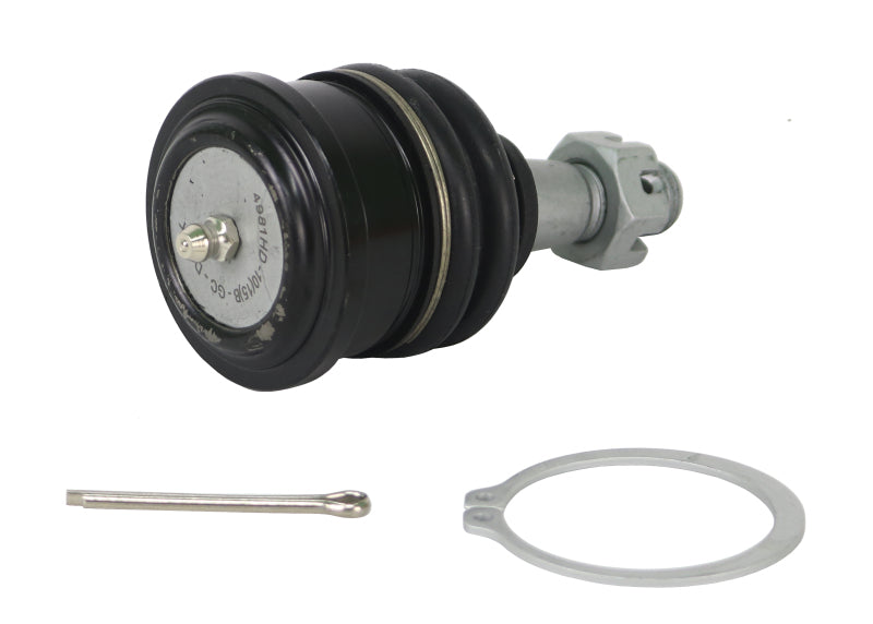 Street Driven Performance