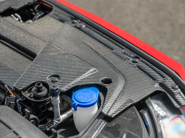 2024-UP MUSTANG S650 | CARBON FIBER ENGINE RADIATOR PANEL TRIM REPLACEMENT