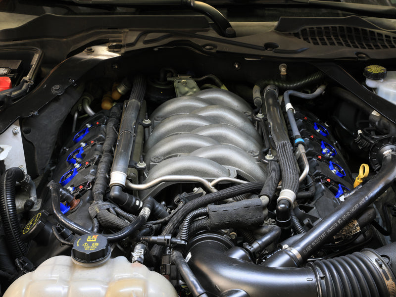 Street Driven Performance