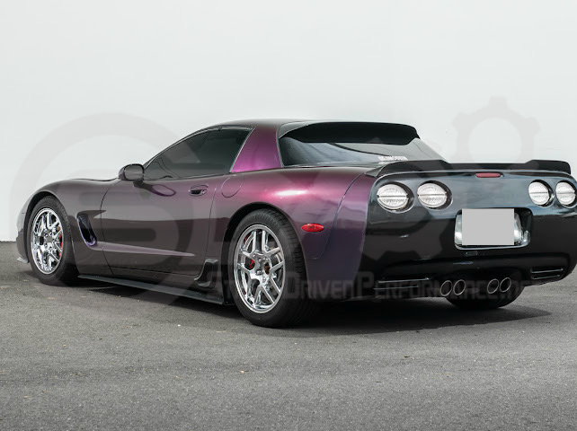 1997-2004 Corvette C5 Z06 Coupe | SDP Performance CARBON FIBER Rear Window Top Roof Wing Spoiler