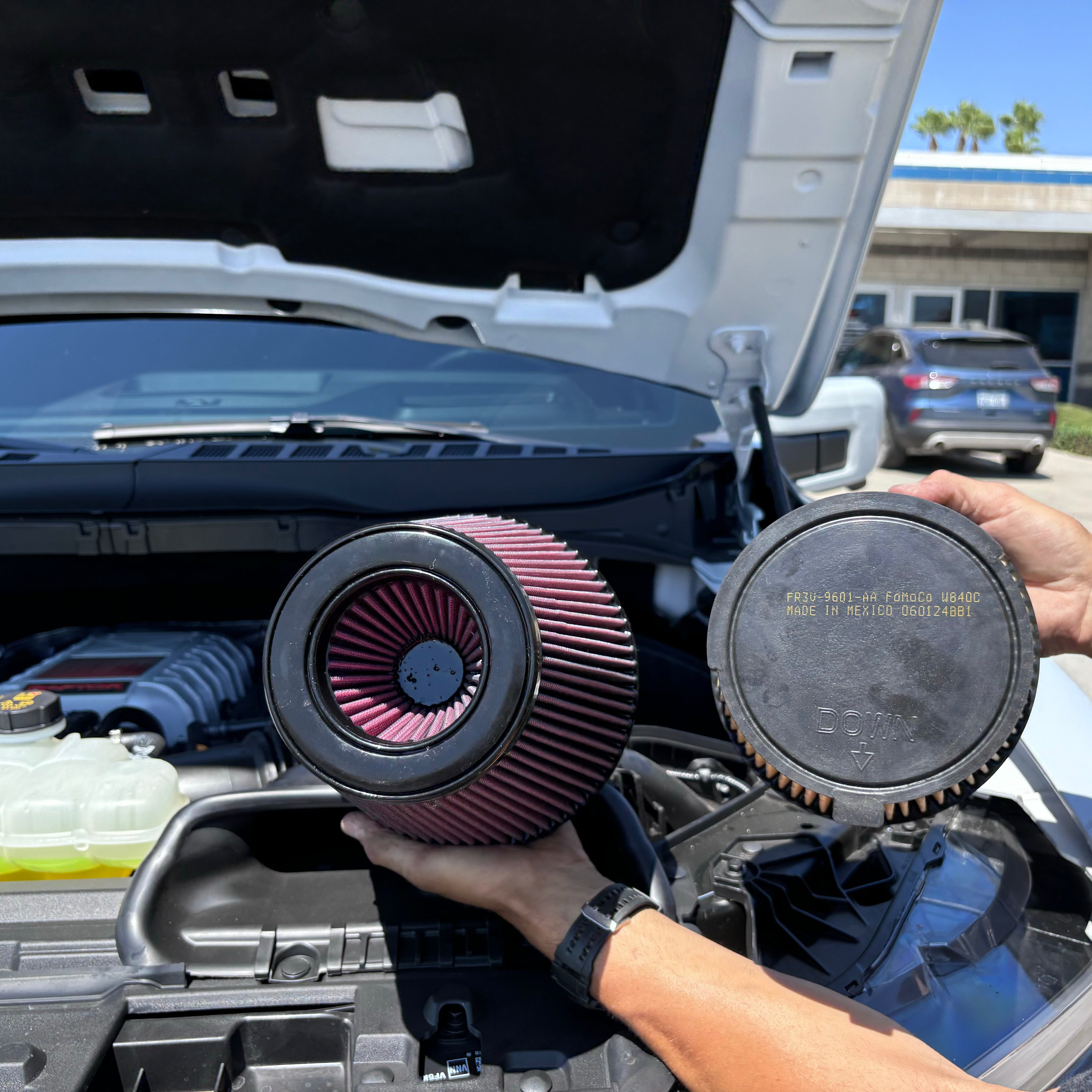 STOCK REPLACEMENT FILTER FOR THE 2023-2024 FORD RAPTOR R 5.2L V8
