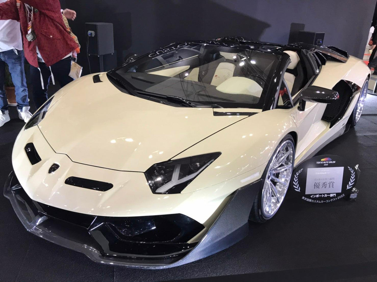 Premier4509 x EARTH Lamborghini Aventador Carbon Wide Body Kit