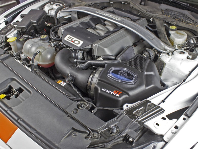 Street Driven Performance
