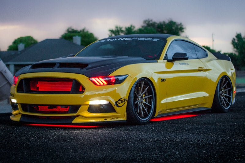 Street Driven Performance