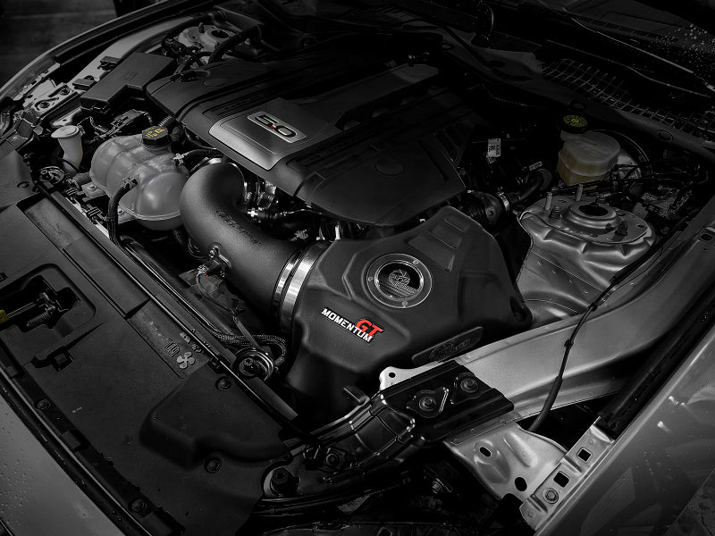 Street Driven Performance