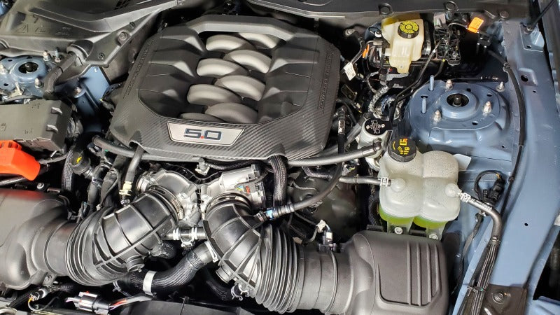 Street Driven Performance