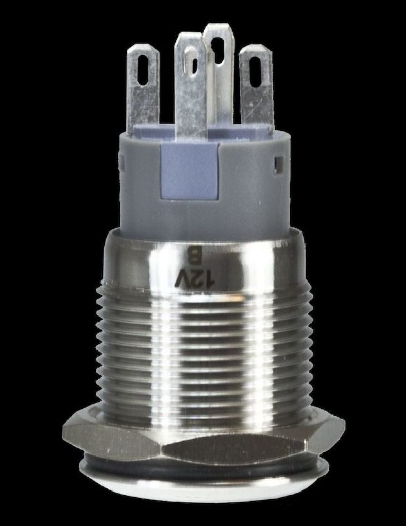 Street Driven Performance