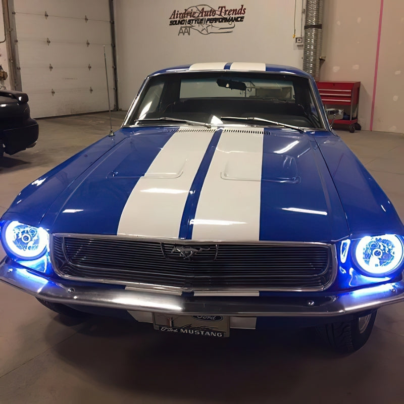 Street Driven Performance