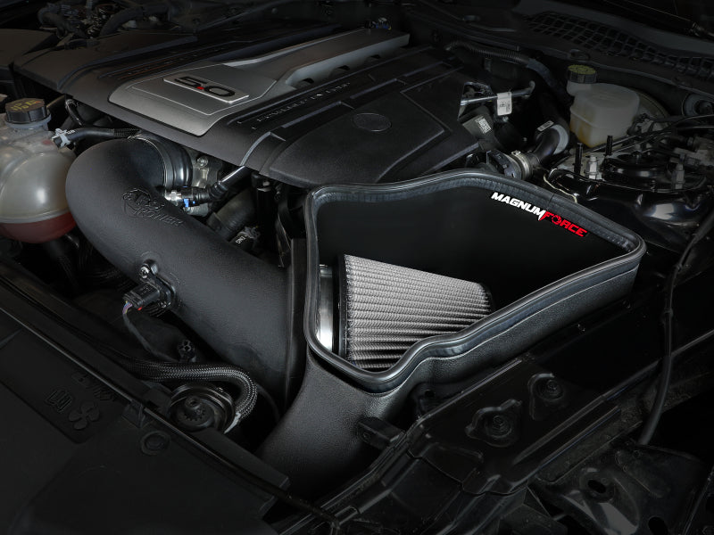 Street Driven Performance