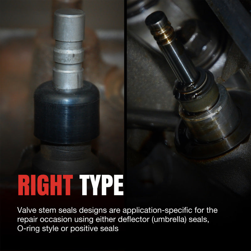 Street Driven Performance