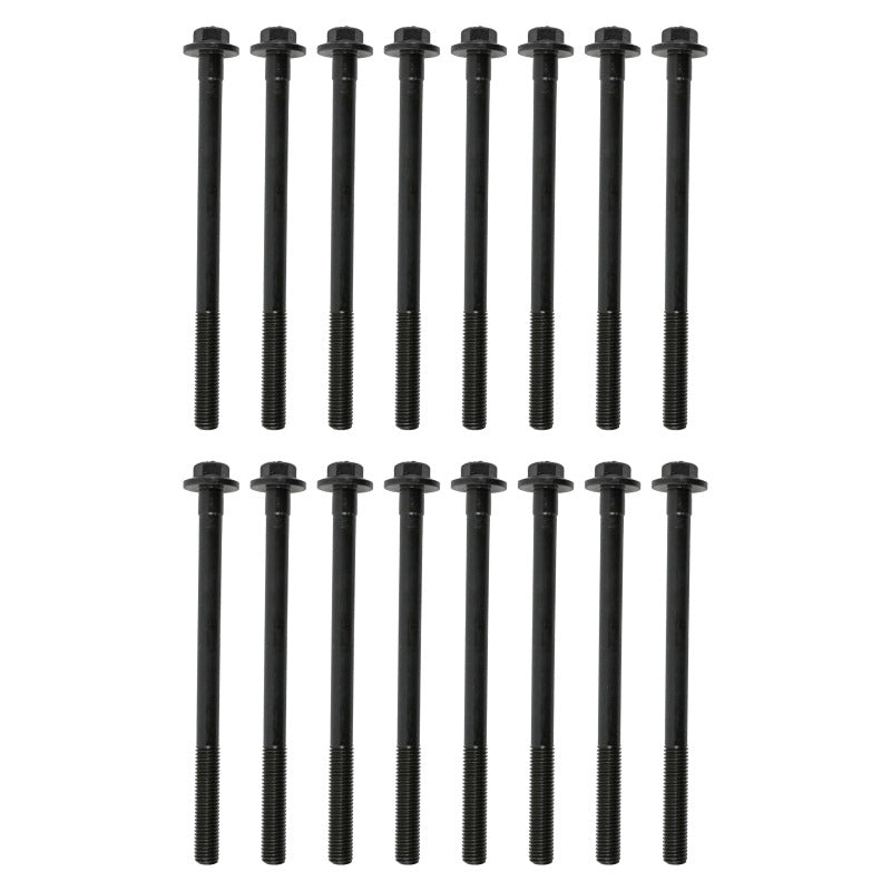 Street Driven Performance