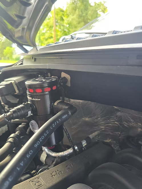 MIGHTY MOUSE SOLUTIONS - 5.0 F150 MILD