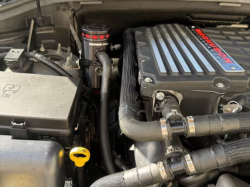 MIGHTY MOUSE SOLUTIONS - WK2 SRT WILD