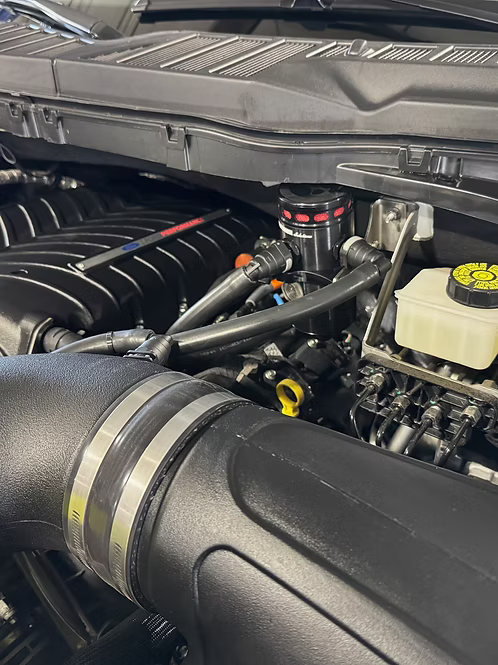 MIGHTY MOUSE SOLUTIONS - 5.0 F150 MILD