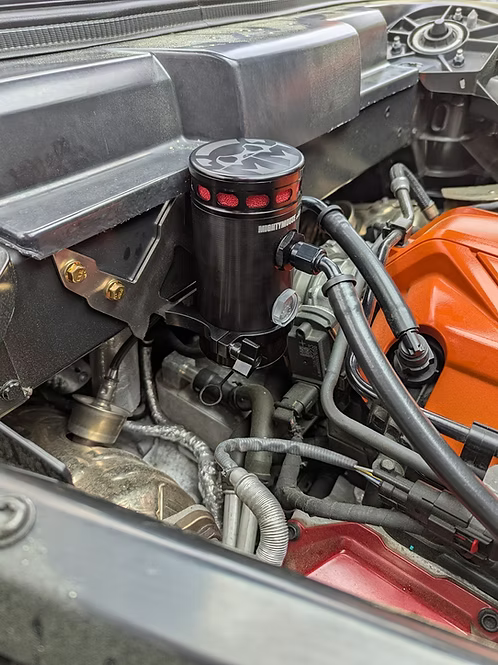 MIGHTY MOUSE SOLUTIONS - C8 WILD