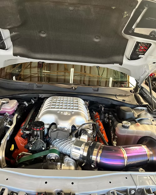 MIGHTY MOUSE SOLUTIONS - Trackhawk WILD (Durango H/C)