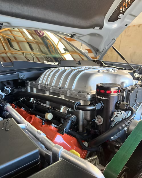 MIGHTY MOUSE SOLUTIONS - Hellcat / Demon WILD