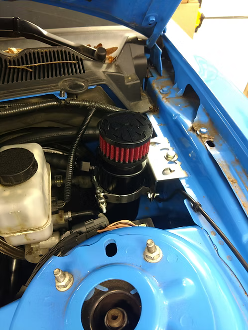 MIGHTY MOUSE SOLUTIONS - Coyote 5.0 MILD