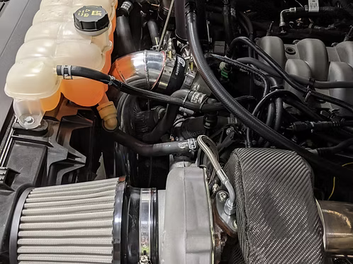 MIGHTY MOUSE SOLUTIONS - 5.0 F150 WILD