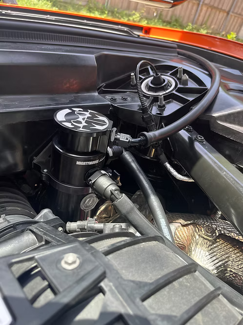 MIGHTY MOUSE SOLUTIONS - C8 Z06 MILD