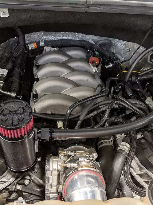 MIGHTY MOUSE SOLUTIONS - 5.0 F150 MILD