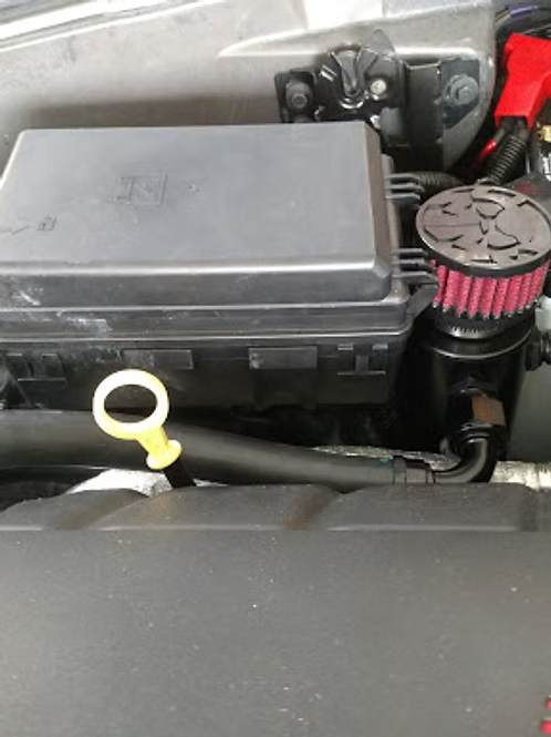 MIGHTY MOUSE SOLUTIONS - C5 / 6 WILD
