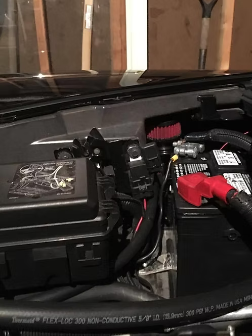 MIGHTY MOUSE SOLUTIONS - C5 / 6 WILD
