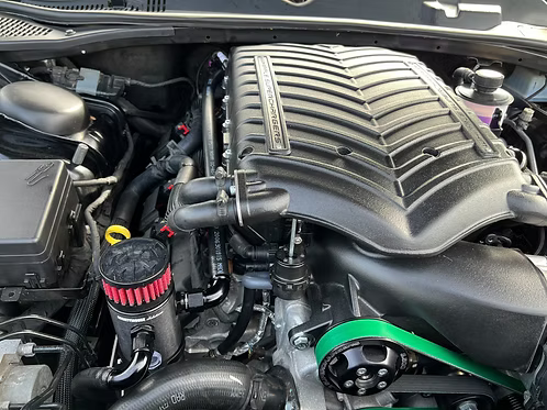MIGHTY MOUSE SOLUTIONS - SRT WILD