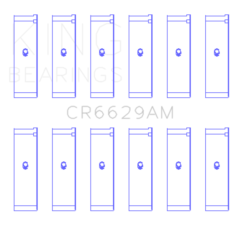 Street Driven Performance