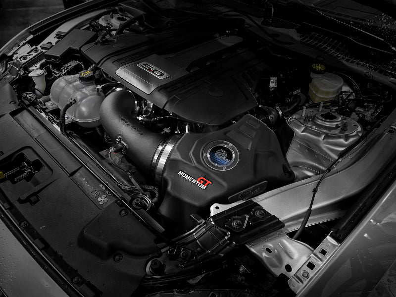 Street Driven Performance